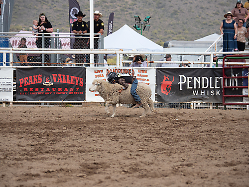 P3293304_1774970285_69cbe5ad93238