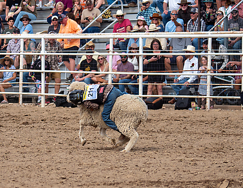 P3293315_1774970286_69cbe5aea7ea5