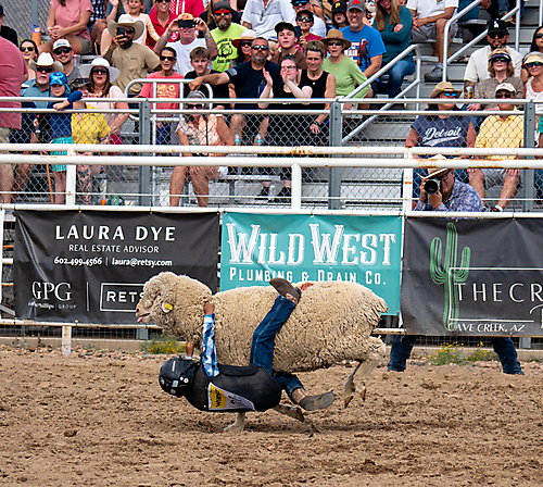 P3293348_1774970289_69cbe5b111e46