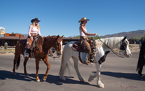 P3211512_1774469458_69c44152ed0e4