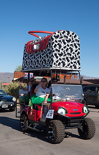 P3211526_1774469468_69c4415cb3ff4