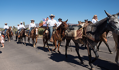 P3211585_1774469496_69c44178cba19