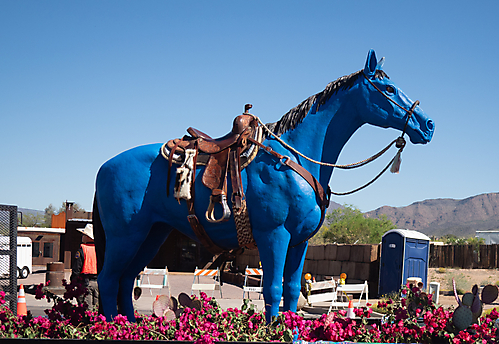 P3211595_1774469501_69c4417dad509