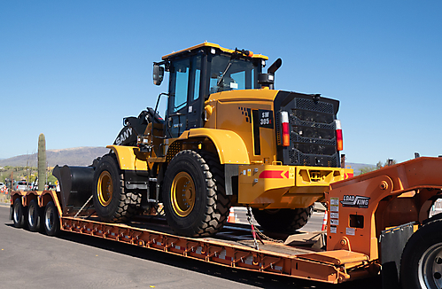 P3211597_1774469502_69c4417e866f2