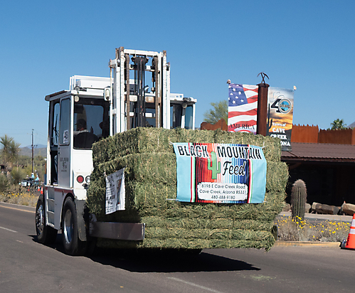 P3211598_1774469502_69c4417ee7ff1