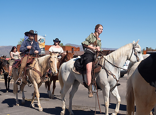 P3211607_1774469509_69c441853e354