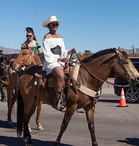 P3211617_1774469513_69c4418966733