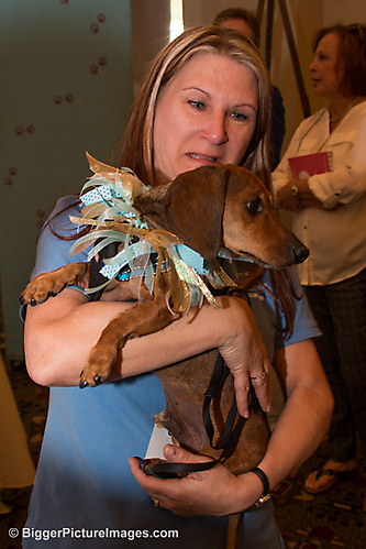 50 IMG_2531 LR LR