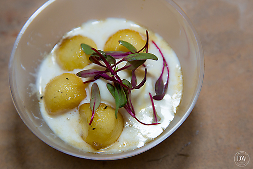 Cooks and Corks 2015 AFM (6 of 89)