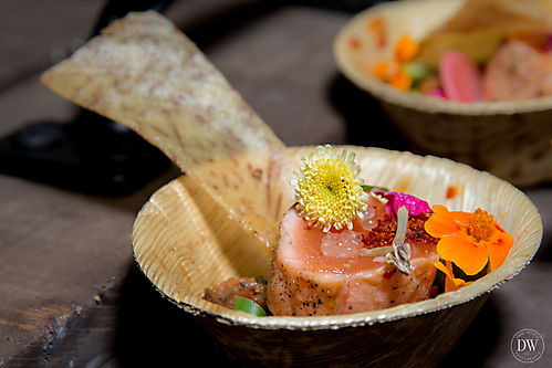Cooks and Corks 2015 AFM (73 of 89)