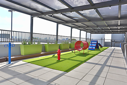 Rooftop top dog run