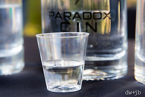 Devour Bartender Comp113