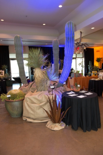 0331dinner_on_the_desert