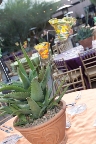 0360dinner_on_the_desert