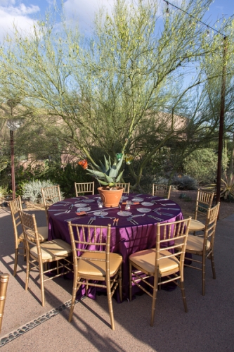 0380dinner_on_the_desert