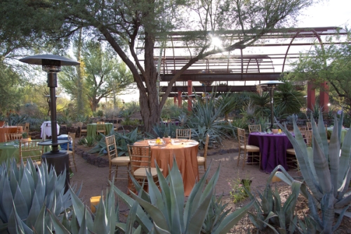 0382dinner_on_the_desert