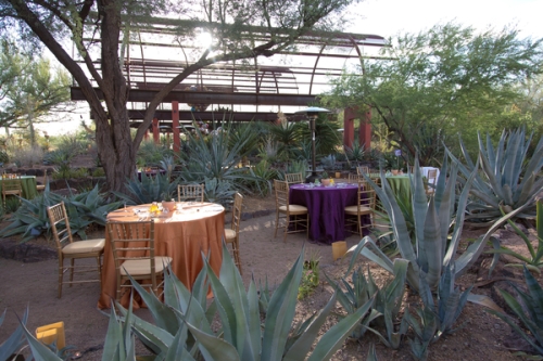 0384dinner_on_the_desert