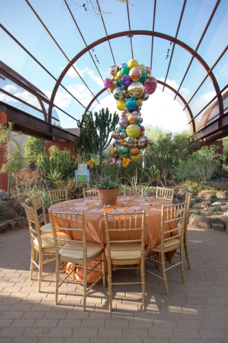 0388dinner_on_the_desert