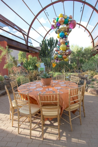 0390dinner_on_the_desert