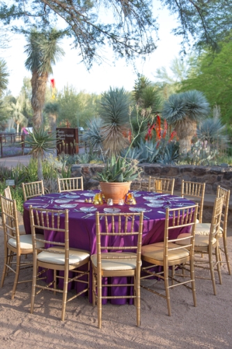 0393dinner_on_the_desert