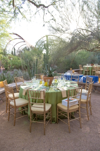 0394dinner_on_the_desert