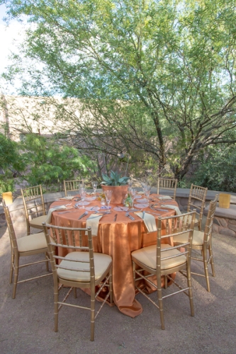 0398dinner_on_the_desert
