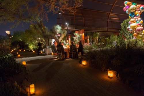 0761dinner_on_the_desert