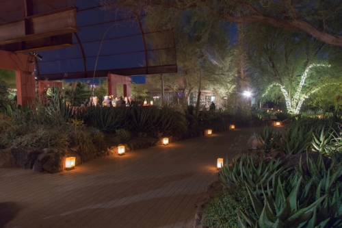 0765dinner_on_the_desert