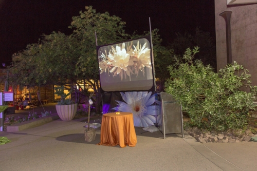 0836dinner_on_the_desert