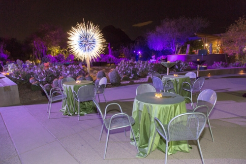 0839dinner_on_the_desert