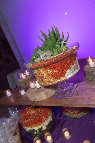 0841dinner_on_the_desert