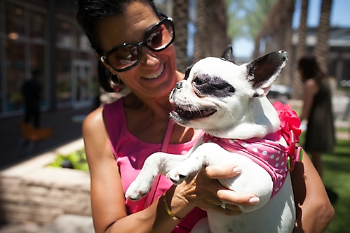 AZ Foothills Doggie Model-89