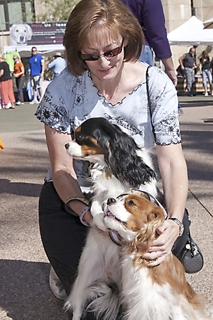 dogathon-2009-scottsdale_16