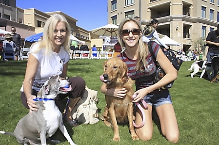 dogathon-2009-scottsdale_38