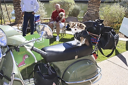 dogathon-2009-scottsdale_40