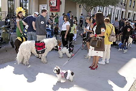 dogathon-2009-scottsdale_56