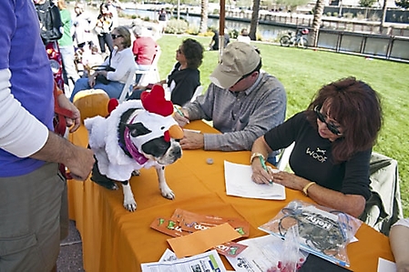 dogathon-2009-scottsdale_95