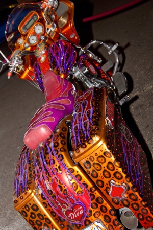 elan_style_img_0175_lr