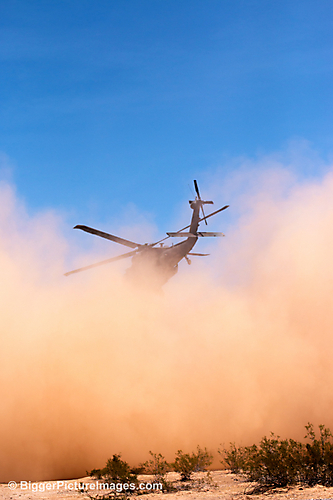 15 IMG_3772 LR LR