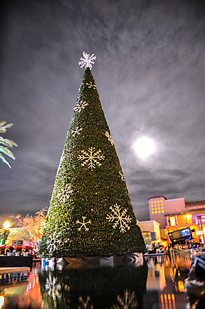 Princess Tree Lighting AZ-54