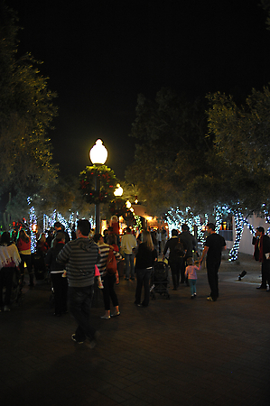 Princess Tree Lighting AZ-56