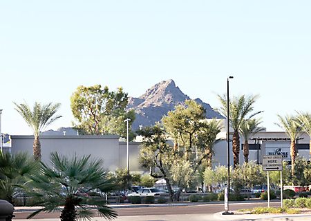 ritz-carlton-hat-and-tea-party-phoenix-2009_057