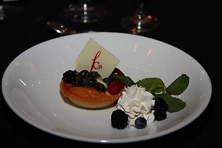 fgi-night-of-stars-phoenix-2009_46