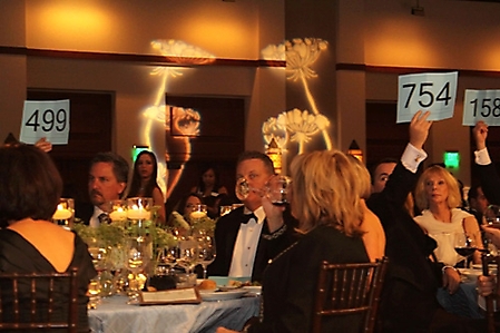 fresh-start-fashion-gala-scottsdale-2010_60