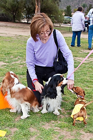 gabriels-angels-doggie-beach-party-tempe-2010_12