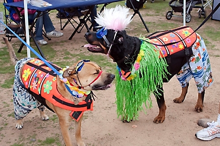 gabriels-angels-doggie-beach-party-tempe-2010_21