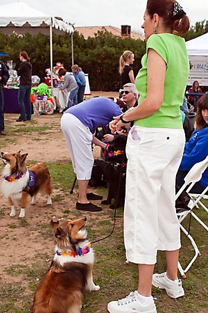 gabriels-angels-doggie-beach-party-tempe-2010_25