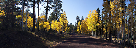 D_Untitled_Panorama 8223-8225