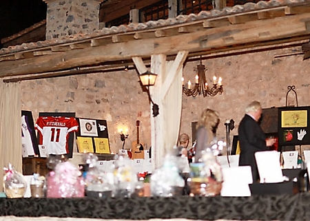ava-fundraiser-scottsdale-2009_51