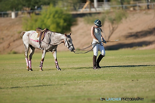 AFM Polo 13